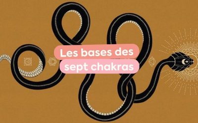 Le guide des 7 Chakras pour les débutants